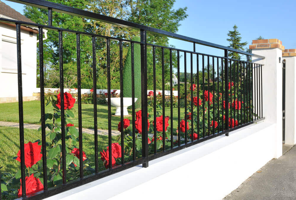 black fence with red roses showing through the gaps done by fencing Toowoomba